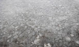 Vilnius. ELTA / Elvinas Kviatkovski