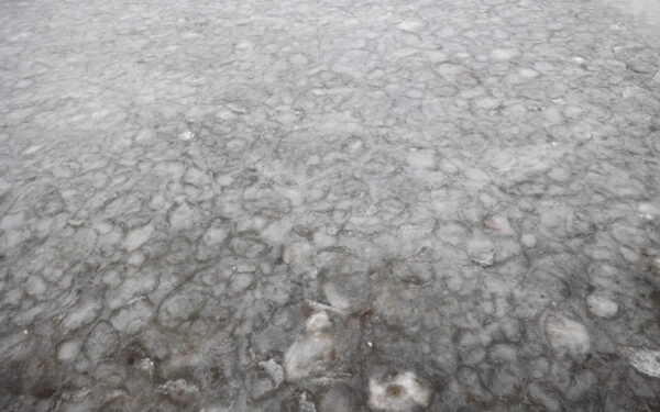 Neries vandeniui pakilus Radikiuose apsemti namai, meras primena apie pylimo planus