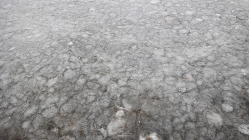 Neries vandeniui pakilus Radikiuose apsemti namai, meras primena apie pylimo planus