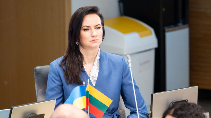 Premjerė siunčia aiškų signalą: nereikia kelti temų, kurių niekas neprašė