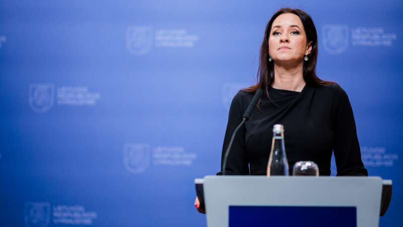 Užkulisiuose – planai dėl susisitikimo su JAV: Ruginienė pavedė užduotį Kęstučiui Budriui