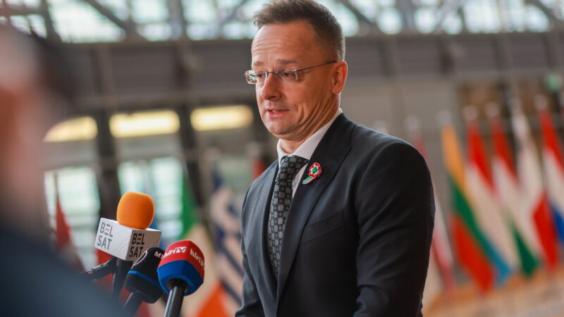 Buvęs Čekijos ministras perspėja dėl Vengrijos veiksmų: ji gali būti Rusijos „Trojos arklys“ Europos sąjungoje