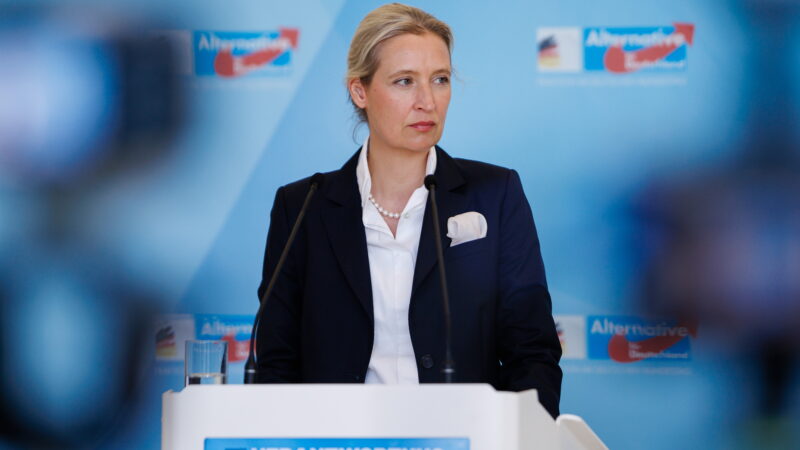 Ar Europoje laukia dideli pokyčiai? Vokietijoje AfD jau pirmauja apklausose