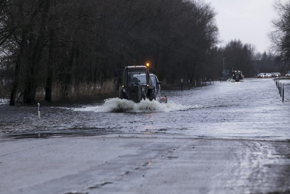 Kelyje iš Šilutės į Rusnę. Gedimino Bartuškos (ELTA) nuotr.