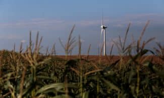 Susidomėjimas vėjo energija kasmet vis didėja. Gedimino Bartuškos (ELTA) nuotr.