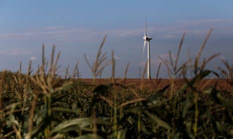 Susidomėjimas vėjo energija kasmet vis didėja. Gedimino Bartuškos (ELTA) nuotr.