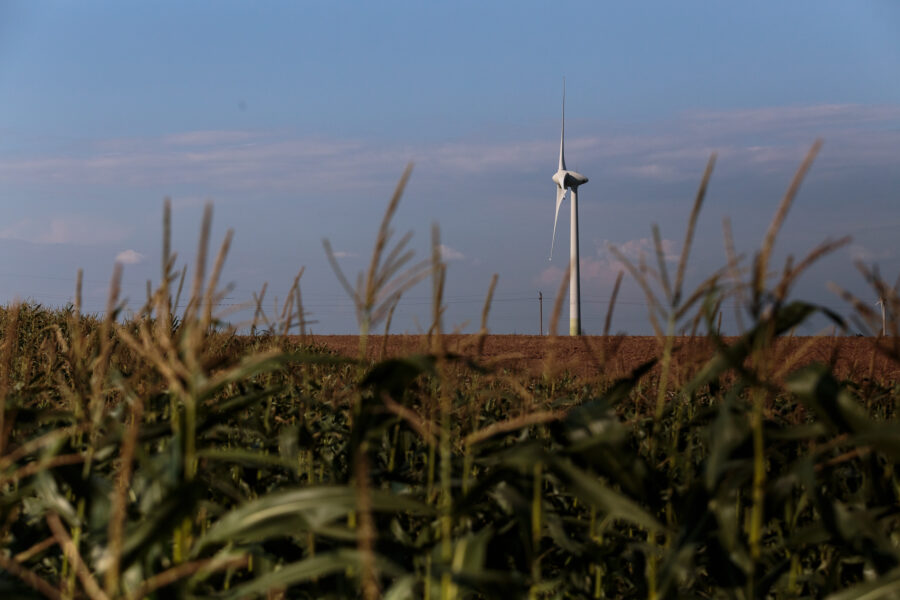 Susidomėjimas vėjo energija kasmet vis didėja. Gedimino Bartuškos (ELTA) nuotr.