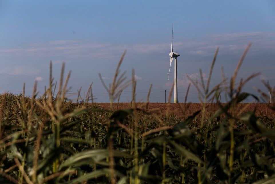 Susidomėjimas vėjo energija kasmet vis didėja. Gedimino Bartuškos (ELTA) nuotr.