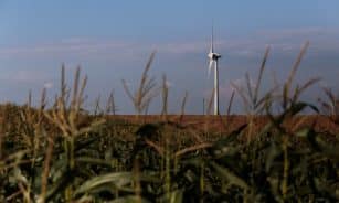 Susidomėjimas vėjo energija kasmet vis didėja. Gedimino Bartuškos (ELTA) nuotr.