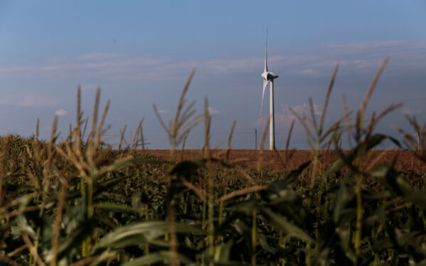 Netikėtas lyderystės šuolis: Lietuva pagal esamus duomenis jau aplenkė Vokietiją ir Švediją