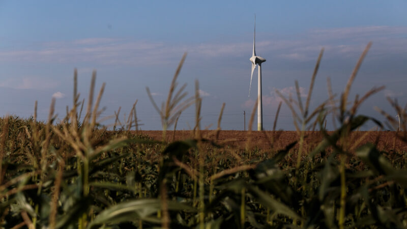Netikėtas lyderystės šuolis: Lietuva pagal esamus duomenis jau aplenkė Vokietiją ir Švediją