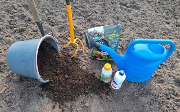 Norite gero derliaus? Pirmiausia padarykite tai, ką daugelis praleidžia