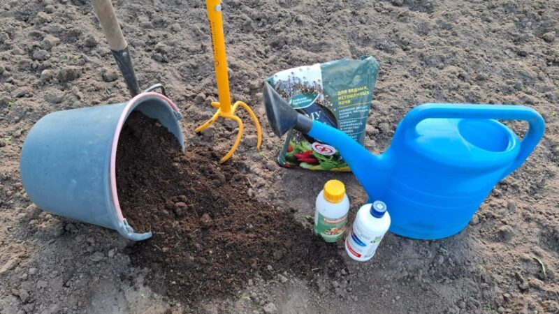 Norite gero derliaus? Pirmiausia padarykite tai, ką daugelis praleidžia