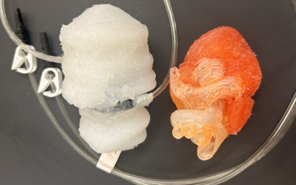 Plaka visai kaip tikra: 3D spausdintuvas pagamino širdį, kuri padės gelbėti gyvybes