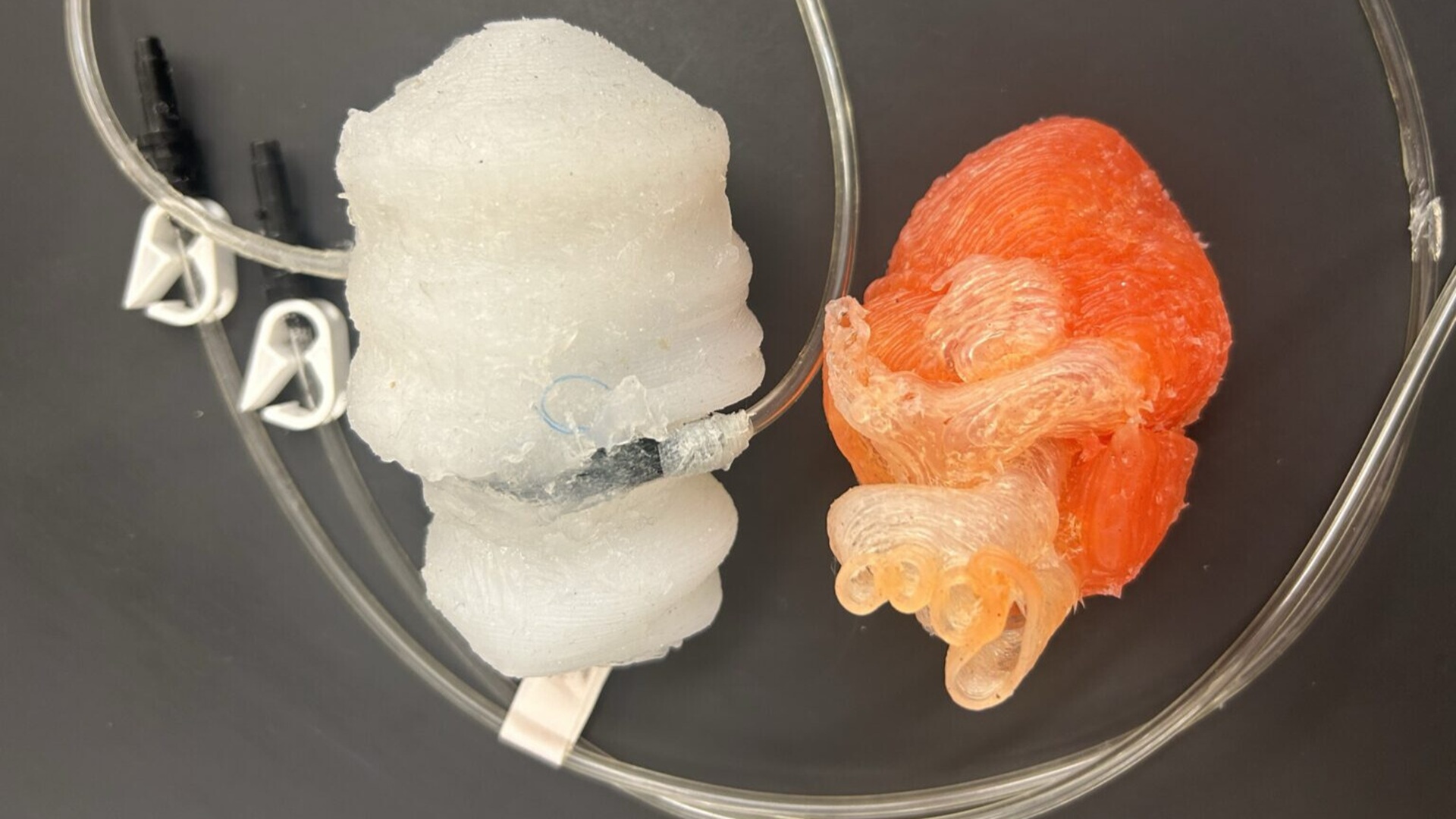 Plaka visai kaip tikra: 3D spausdintuvas pagamino širdį, kuri padės gelbėti gyvybes