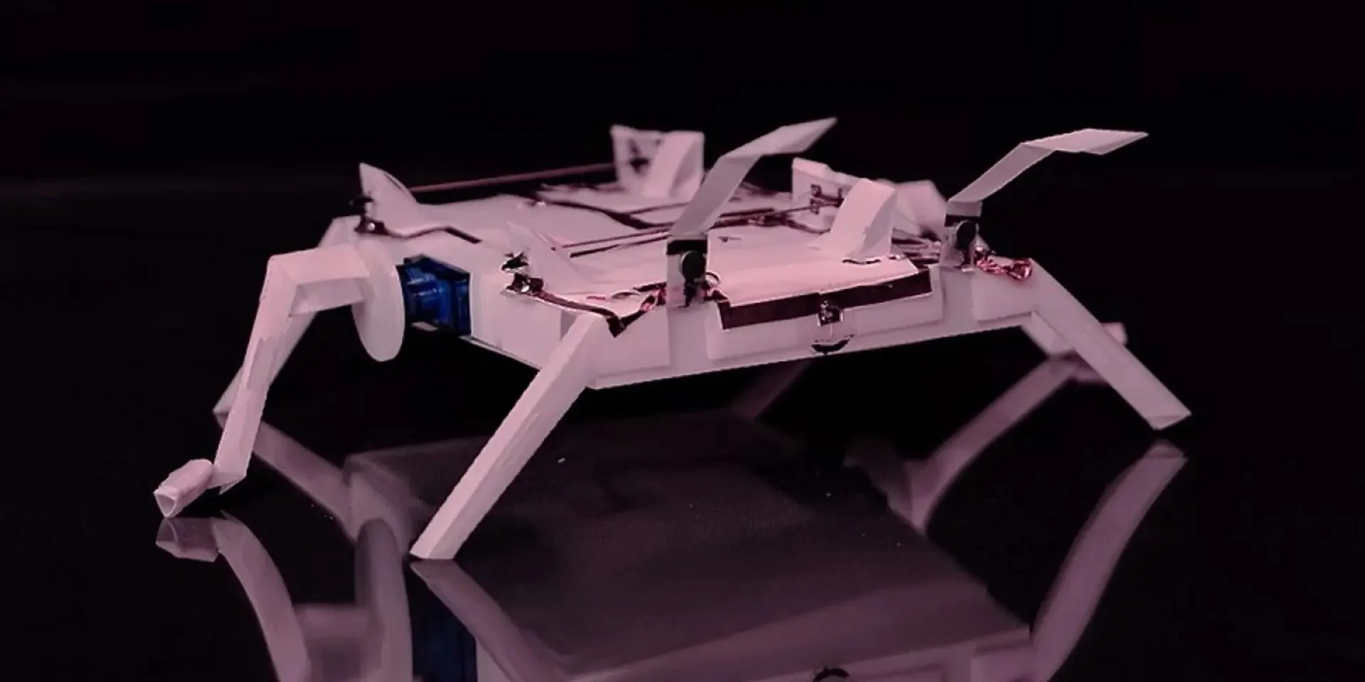 Kaip veikia šis unikalus vabalas robotas? Pašoka 188 kartus ir pakelia 1700 kartų sunkesnį svorį