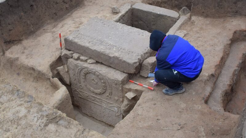 Vėjo išverstas medis atidengė šiurpią paslaptį: sužinokite, ką po šaknimis slėpė senovės romėnai