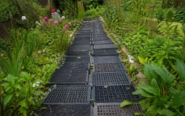 Pamirškite brangias sodo trinkeles: štai kaip jas pigiai pakeis paprasta plastikinė dėžė