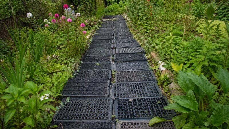 Pamirškite brangias sodo trinkeles: štai kaip jas pigiai pakeis paprasta plastikinė dėžė