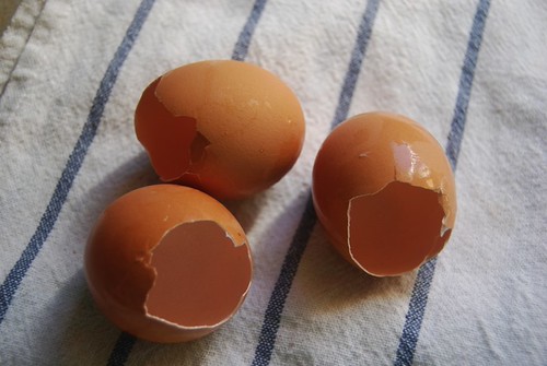 Jūsų gėlės suvešės lyg pašėlusios: kokios virtuvės atliekos daro tikrus stebuklus?