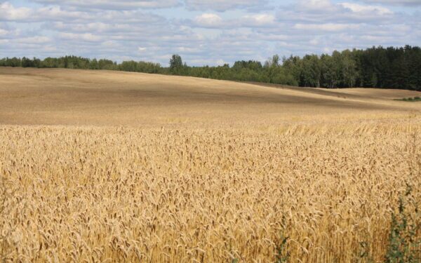 Žemės savininkams svarbu žinoti: keičiasi zonos prie dujotiekių, galite gauti kompensaciją