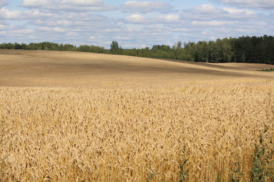 Žemės savininkams svarbu žinoti: keičiasi zonos prie dujotiekių, galite gauti kompensaciją
