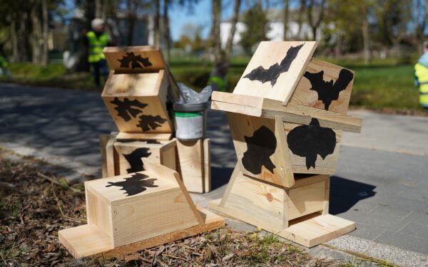 Mieste iškilo 19 inkilų šikšnosparniams: specialistai paaiškino, kodėl tai būtina