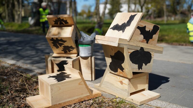 Mieste iškilo 19 inkilų šikšnosparniams: specialistai paaiškino, kodėl tai būtina