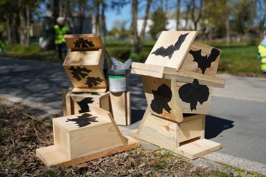 Mieste iškilo 19 inkilų šikšnosparniams: specialistai paaiškino, kodėl tai būtina