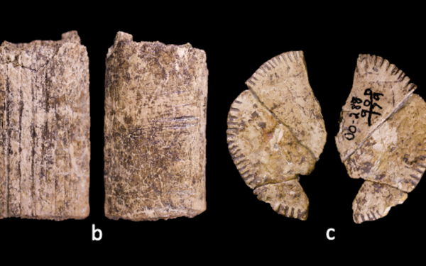 Atskleista tūkstantmečių paslaptis: štai kaip iš tiesų atrodė patys pirmieji lošimo kauliukai