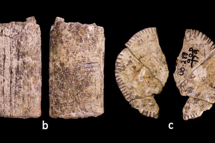 Atskleista tūkstantmečių paslaptis: štai kaip iš tiesų atrodė patys pirmieji lošimo kauliukai