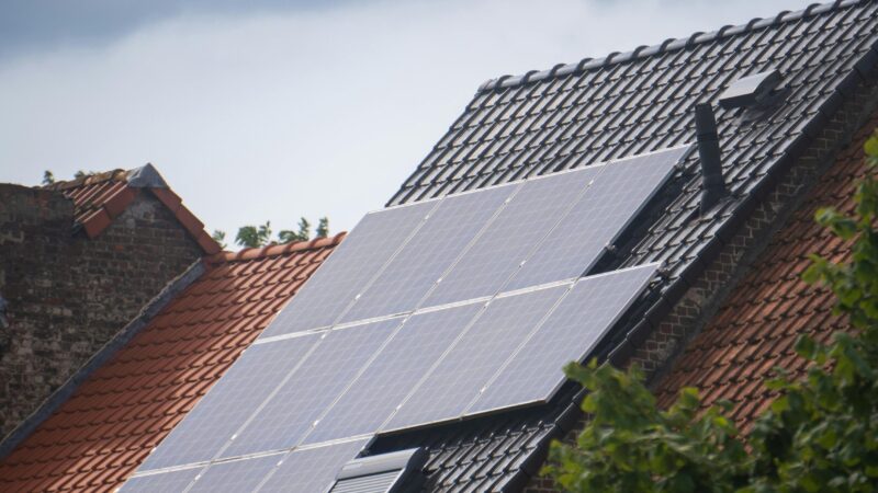 Parama saulės elektrinėms išgraibstyta: gyventojai nukreipiami į rezervą, sužinokite kaip pretenduoti