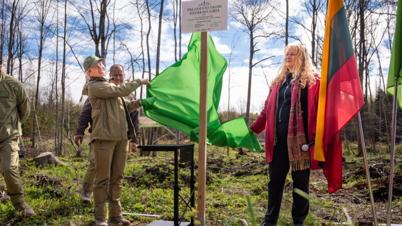 Tūkstančiai žmonių susivienijo Kaune: pasodinta Adamkaus vardo giraitė