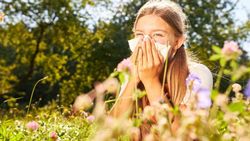 Šienligės sezonas nebeturi pabaigos? Štai kodėl vaistai nuo alergijos padeda vis mažiau