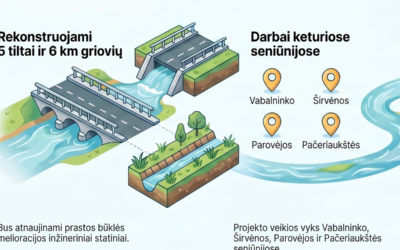 Biržuose pradedama svarbi rekonstrukcija: 5 tiltai ir 6 km griovių, ką tai keis gyventojams?