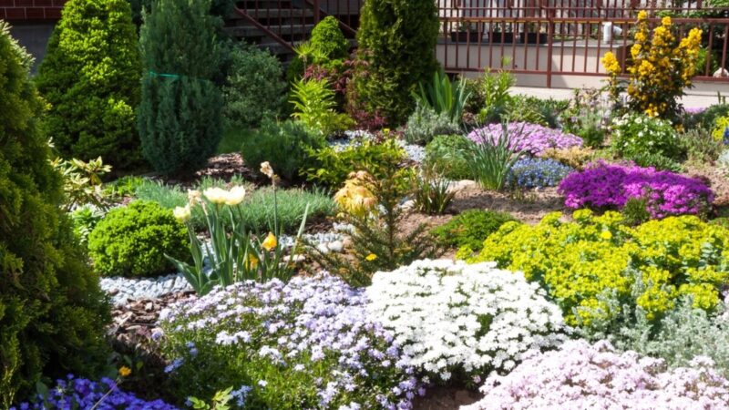 Ką privalo padaryti gyventojai? Šiltasis sezonas atskleidžia daugiabučių kiemų bėdą