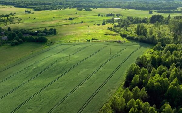 Beveik 1 mln. eurų Vilniaus rajone: kas iš tikrųjų keisis gyventojams artimiausiu metu?