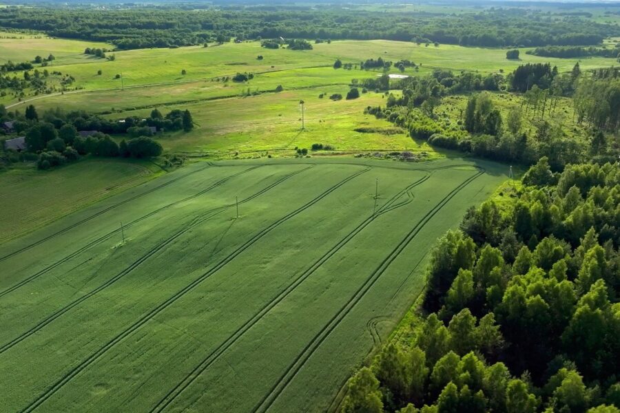 Beveik 1 mln. eurų Vilniaus rajone: kas iš tikrųjų keisis gyventojams artimiausiu metu?