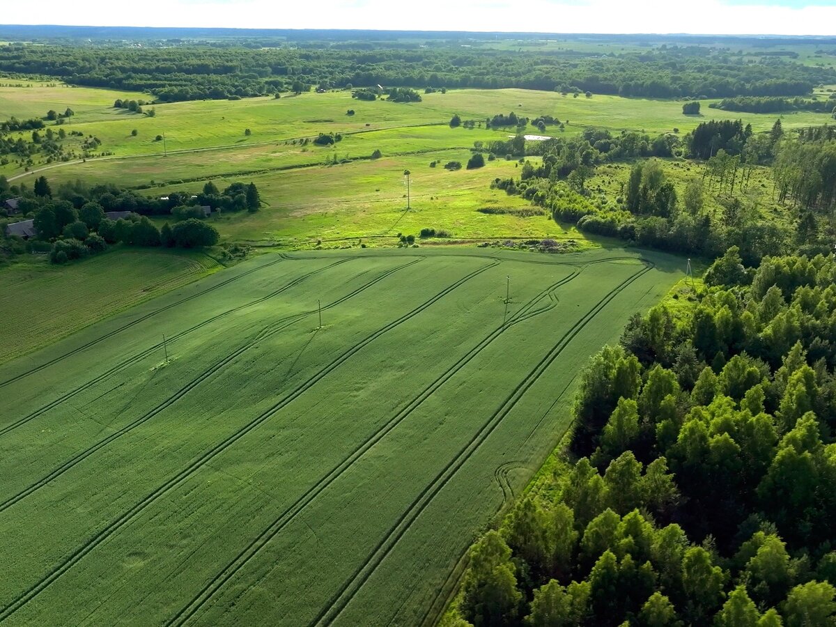Beveik 1 mln. eurų Vilniaus rajone: kas iš tikrųjų keisis gyventojams artimiausiu metu?