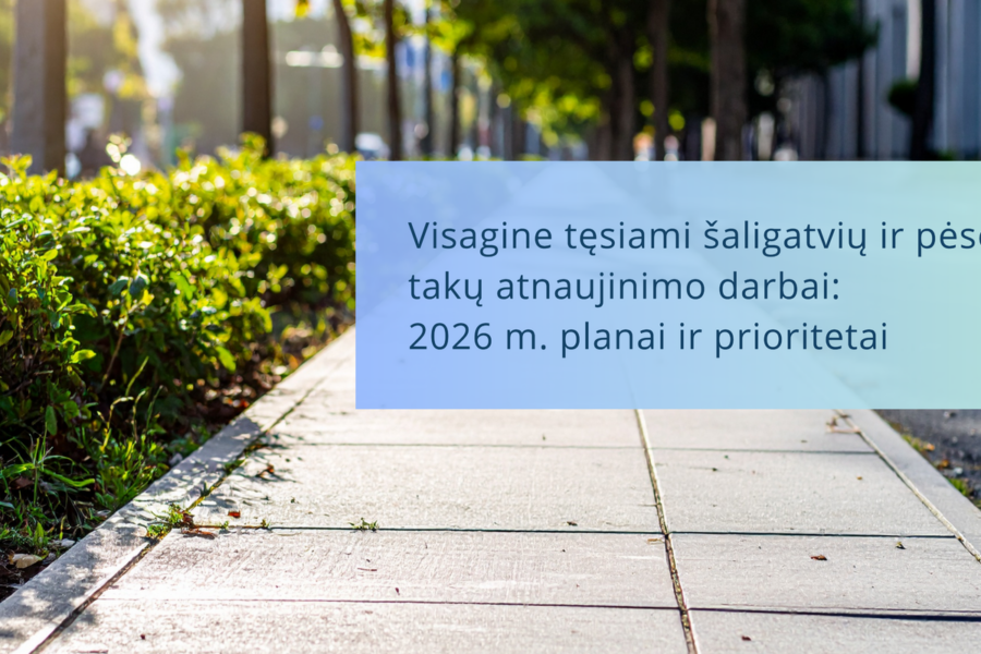 Visagine investuoja 250 tūkst. eurų: aiškėja, kurios vietos sulauks pokyčių pirmiausia