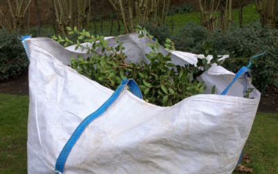 Keičiasi žaliųjų atliekų išvežimo tvarka: nauja paslauga stebina gyventojus savo kaina