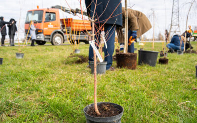 To nesitikėjo niekas: apleista vieta virsta traukos centu, pokyčiai stebina gyventojus