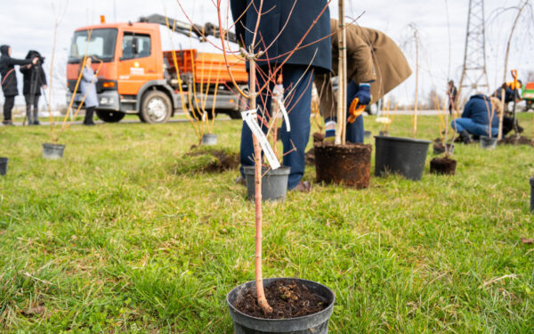 To nesitikėjo niekas: apleista vieta virsta traukos centu, pokyčiai stebina gyventojus