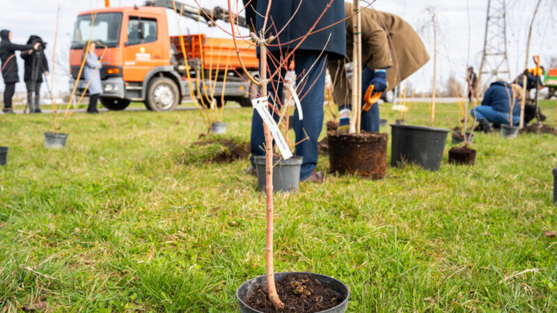 To nesitikėjo niekas: apleista vieta virsta traukos centu, pokyčiai stebina gyventojus