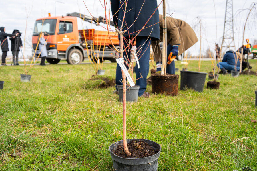 To nesitikėjo niekas: apleista vieta virsta traukos centu, pokyčiai stebina gyventojus