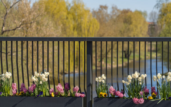 Miestas jau pražydo: gyventojai kviečiami išeiti į lauką ir atrasti spalvomis pasikeitusias erdves