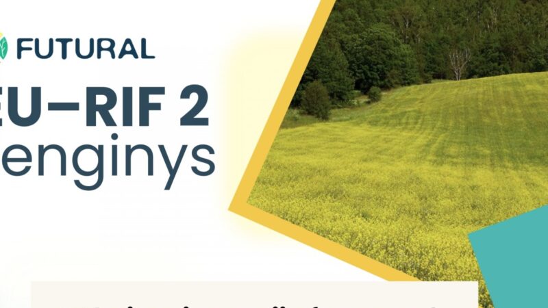 Išmanūs kaimai keičia ateitį: forume bus atskleista, kas laukia Baltijos regiono