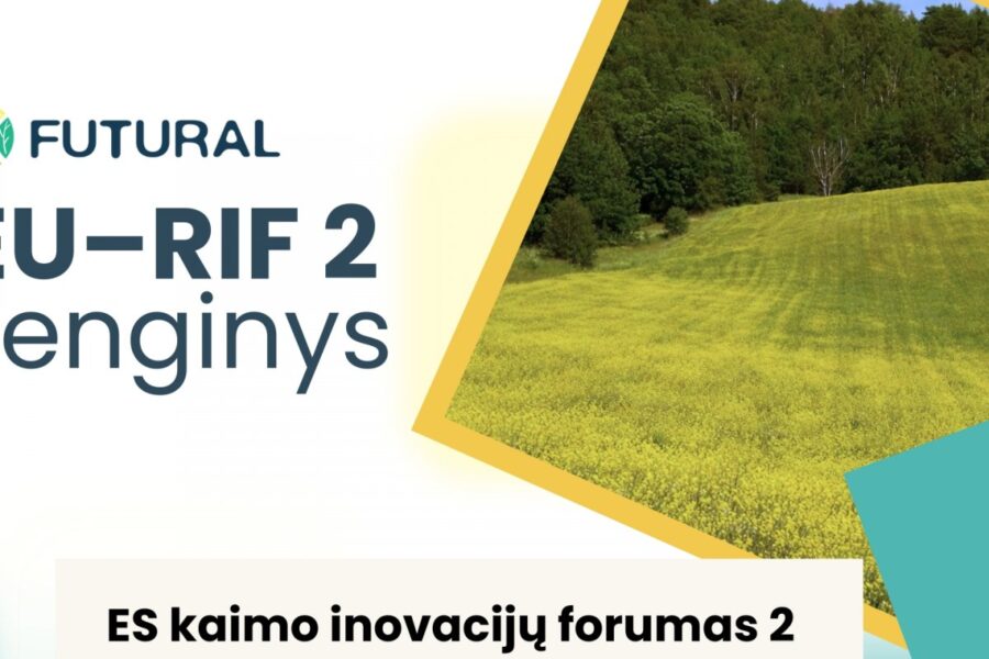 Išmanūs kaimai keičia ateitį: forume bus atskleista, kas laukia Baltijos regiono