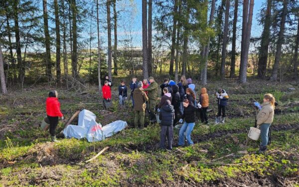 Nacionalinis miškasodis nustebino: per dieną pasodinta milijonai medelių, skaičiai įspūdingi