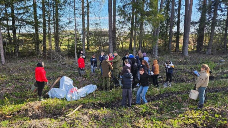 Nacionalinis miškasodis nustebino: per dieną pasodinta milijonai medelių, skaičiai įspūdingi
